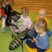 Klub Małych Przyrodników "Owady- szkodniki czy sprzymierzeńcy?"