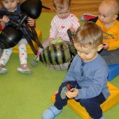 Klub Małych Przyrodników "Owady- szkodniki czy sprzymierzeńcy?"