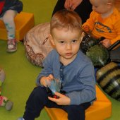 Klub Małych Przyrodników "Owady- szkodniki czy sprzymierzeńcy?"