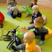 Klub Małych Przyrodników "Owady- szkodniki czy sprzymierzeńcy?"