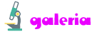 galeria button